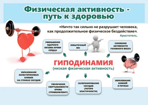 Профилактика 3